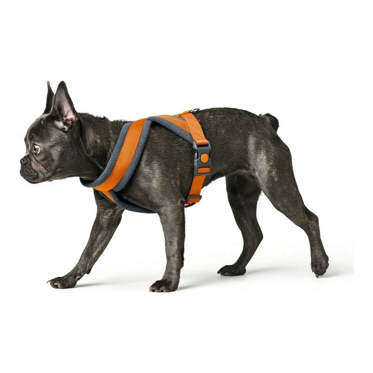 Hundsele Hunter London Comfort 48-56 cm Orange Storlek S/M - 5