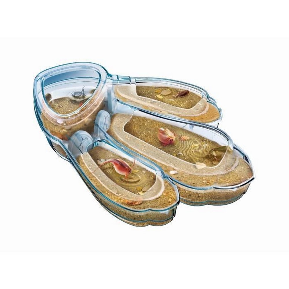 Vetenskapsspel Clementoni Triops Les animaux préhistoriques FR - 3