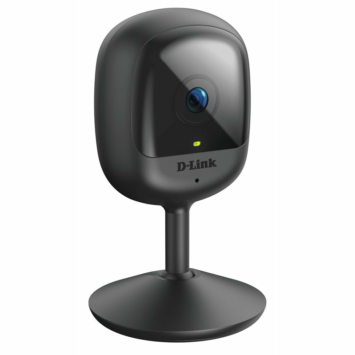 Övervakningsvideokamera D-Link DCS-6100LHV2 - 3