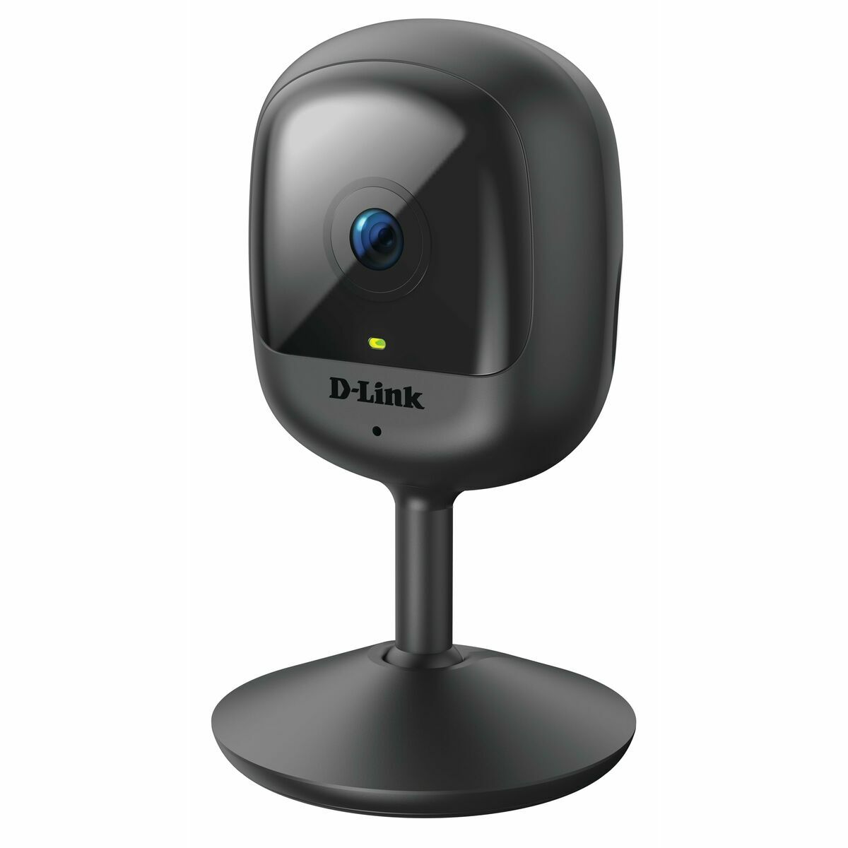 Övervakningsvideokamera D-Link DCS-6100LHV2 - 2
