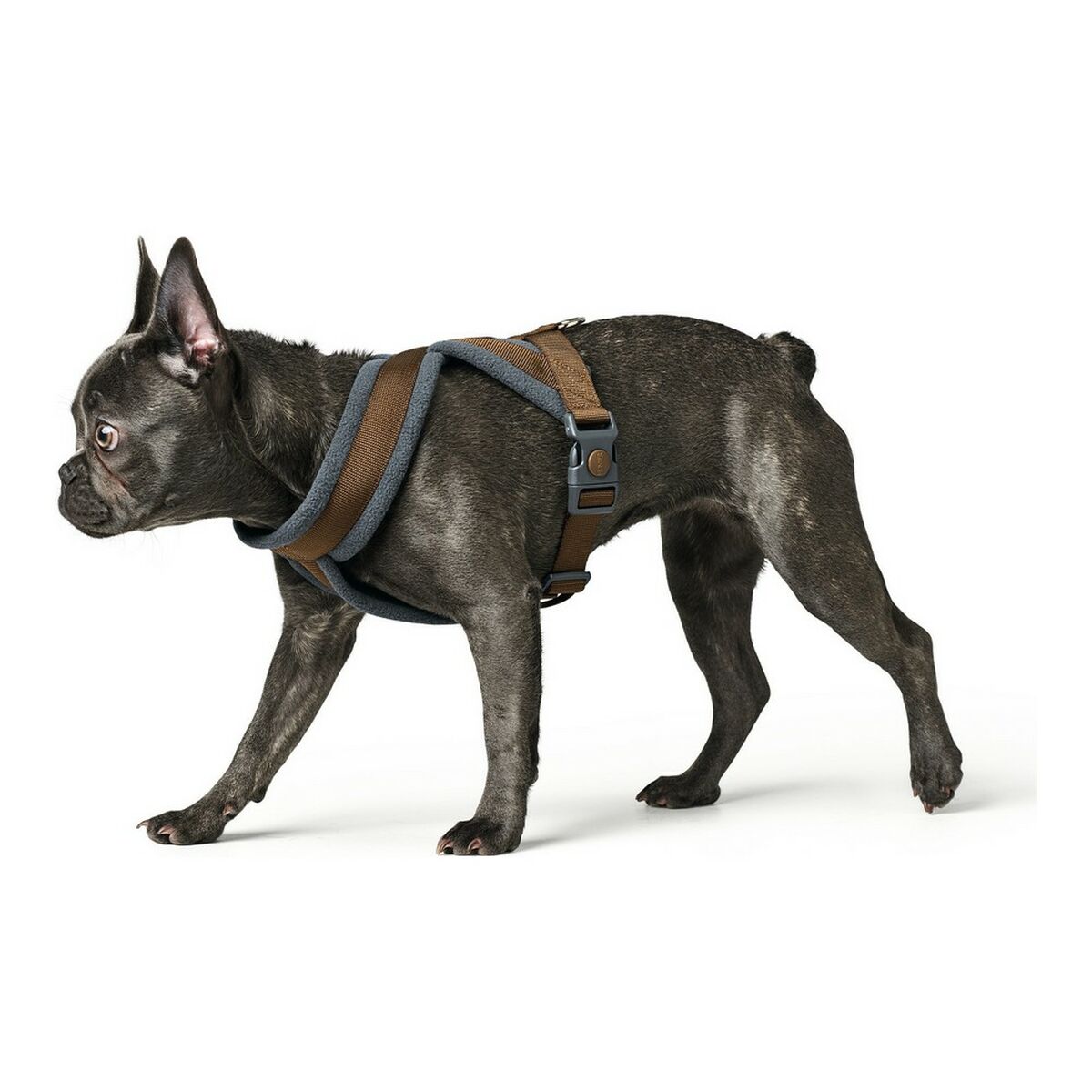 Hundsele Hunter London Comfort 52-62 cm Brun Storlek S/M - 4