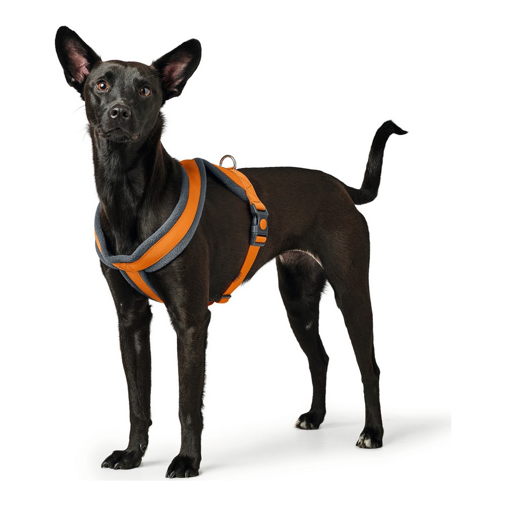 Hundsele Hunter London Comfort Orange S/M 52-62 cm - 2