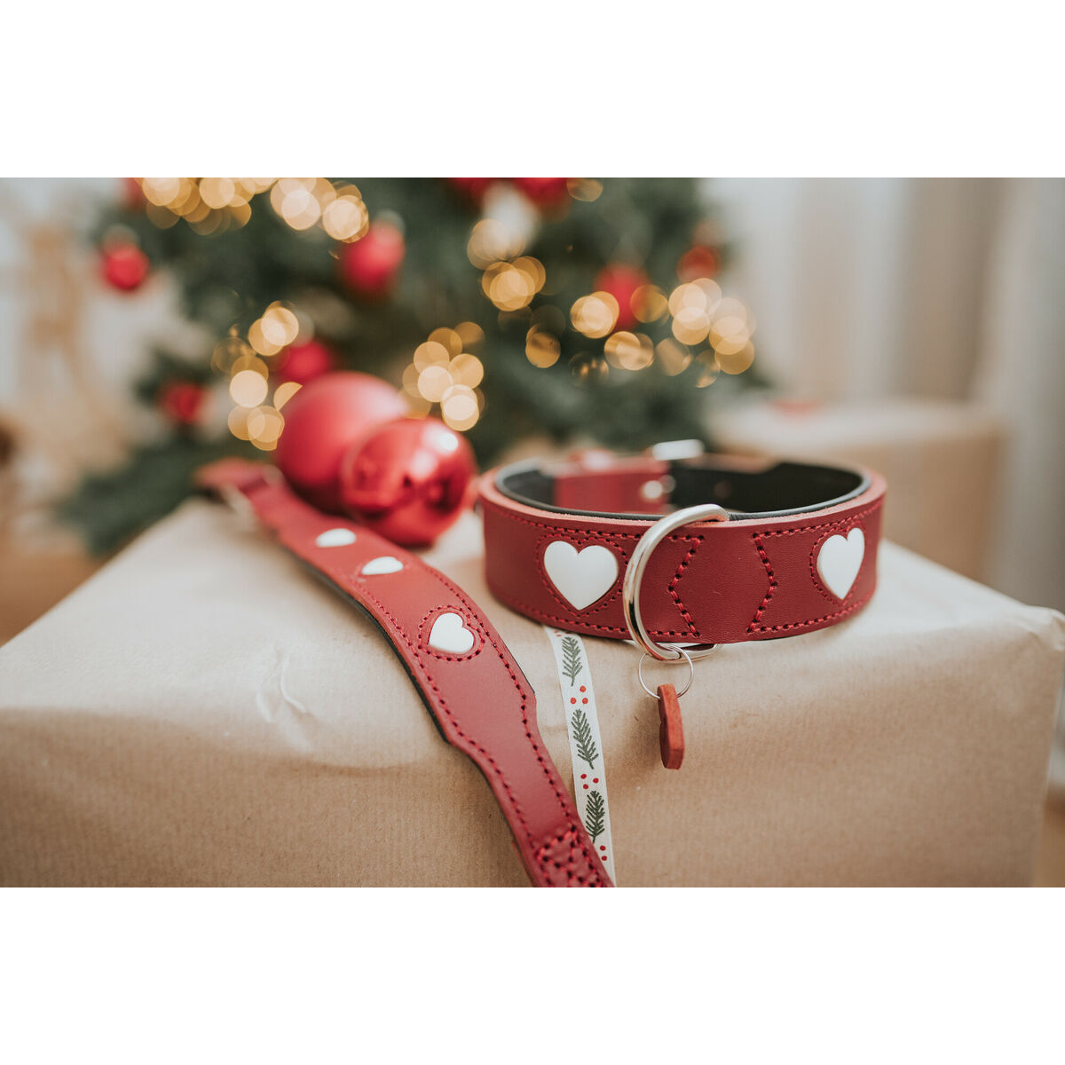 Hundhalsband Hunter Love S/M 35-43 cm Röd - 2