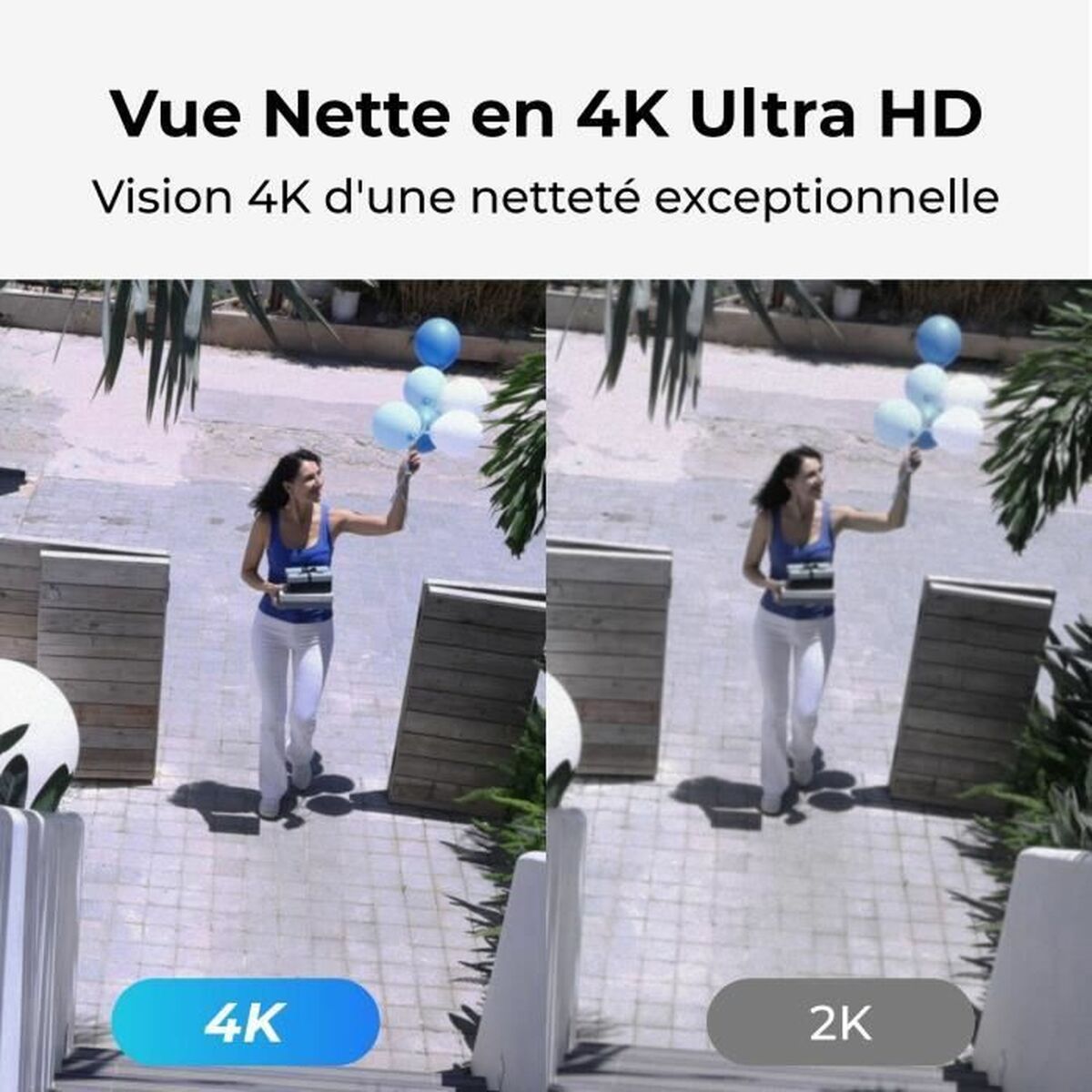 Övervakningsvideokamera Reolink - 5