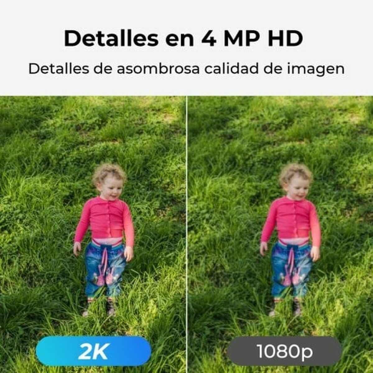 Övervakningsvideokamera Reolink - 2