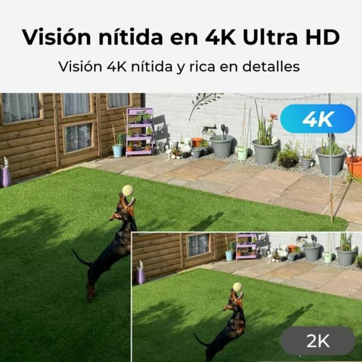 Övervakningsvideokamera Reolink P330 - 2