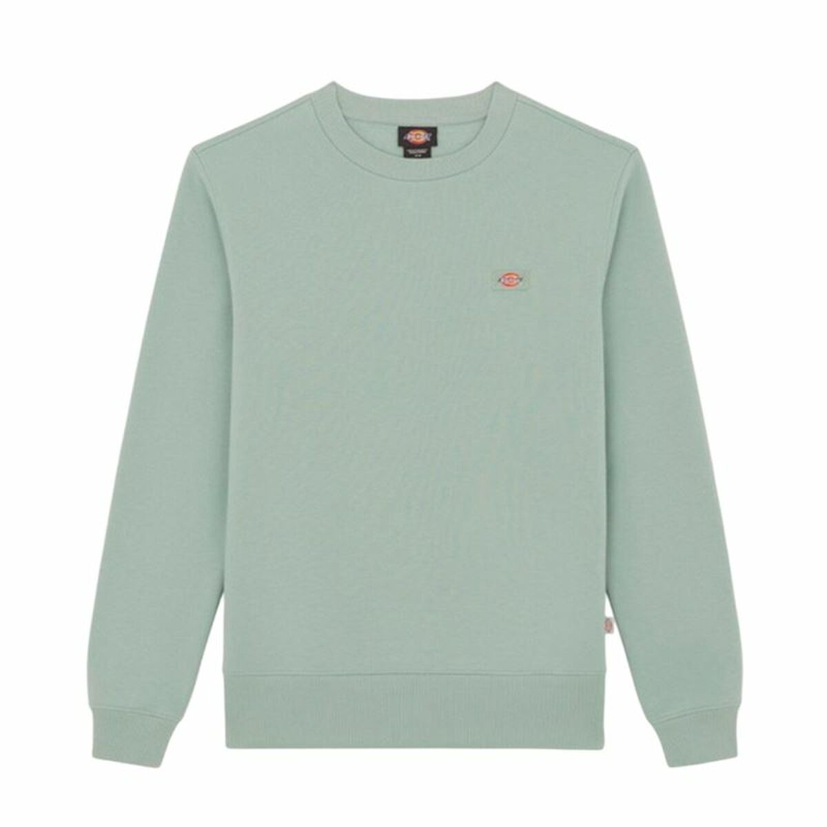 Tröja utan huva Herr Dickies Oakport Blå Grön L