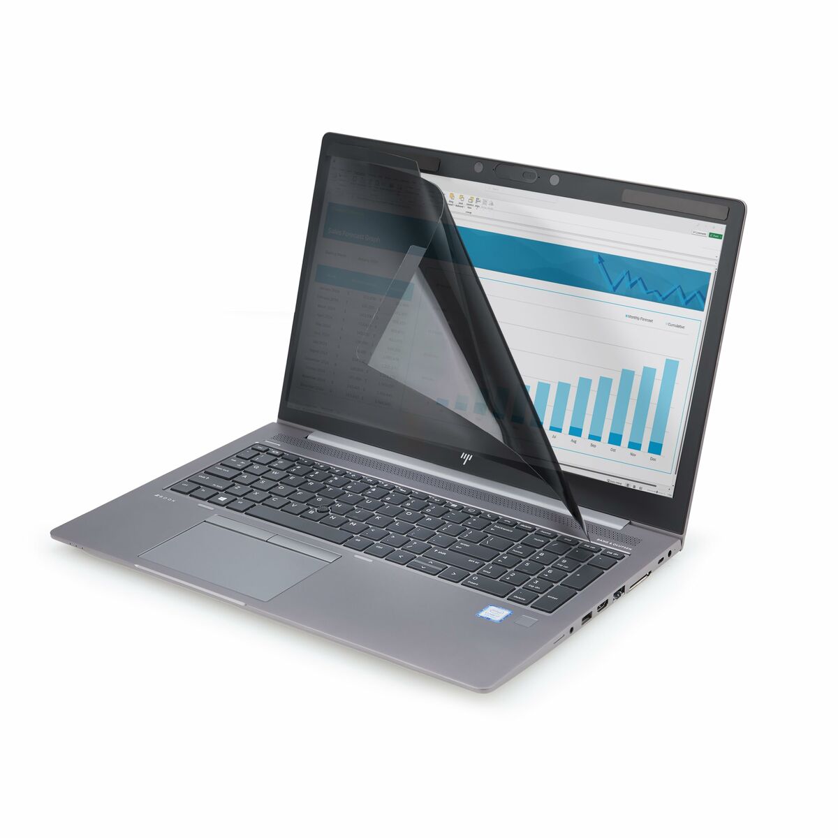 Sekretessfilter för datorskärm Startech 161LM-PRIVACY-SCREEN - 2