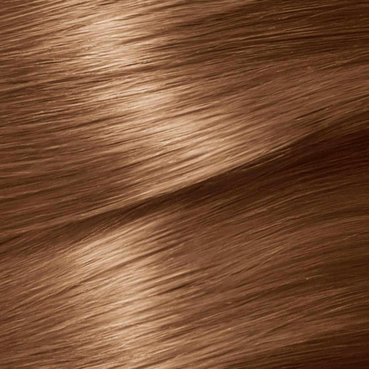 Permanent hårfäg - creme Garnier Nutrisse Nº 6,41-Sweet Amber (3 antal) - 6
