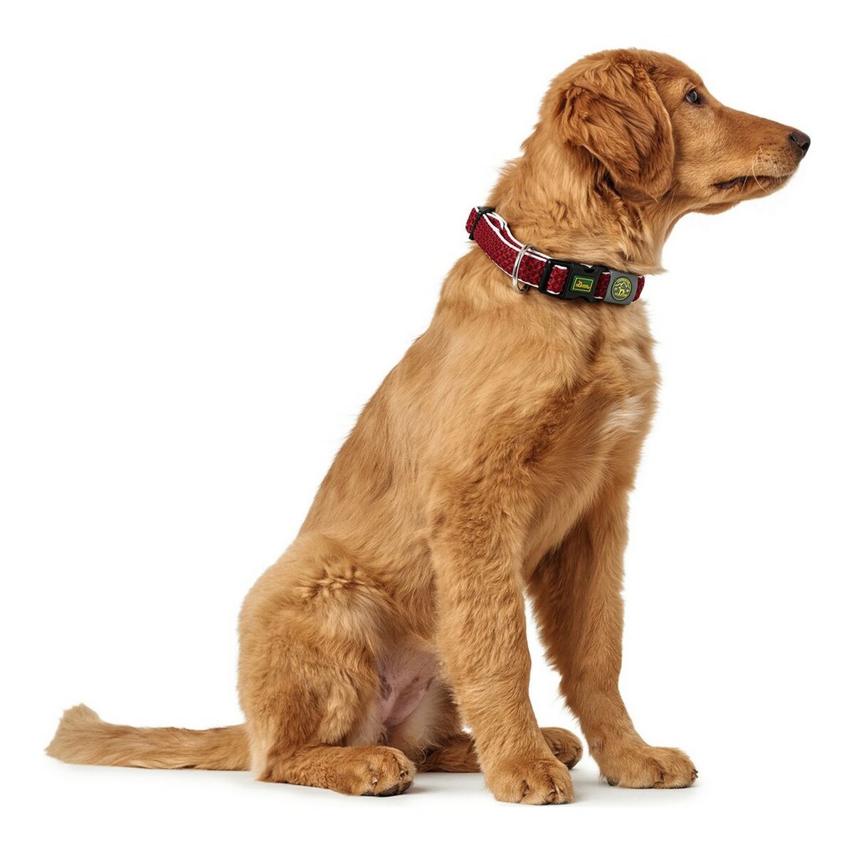 Hundhalsband Hunter Plus Tråd Röd Storlek L (40-60 cm) - 4