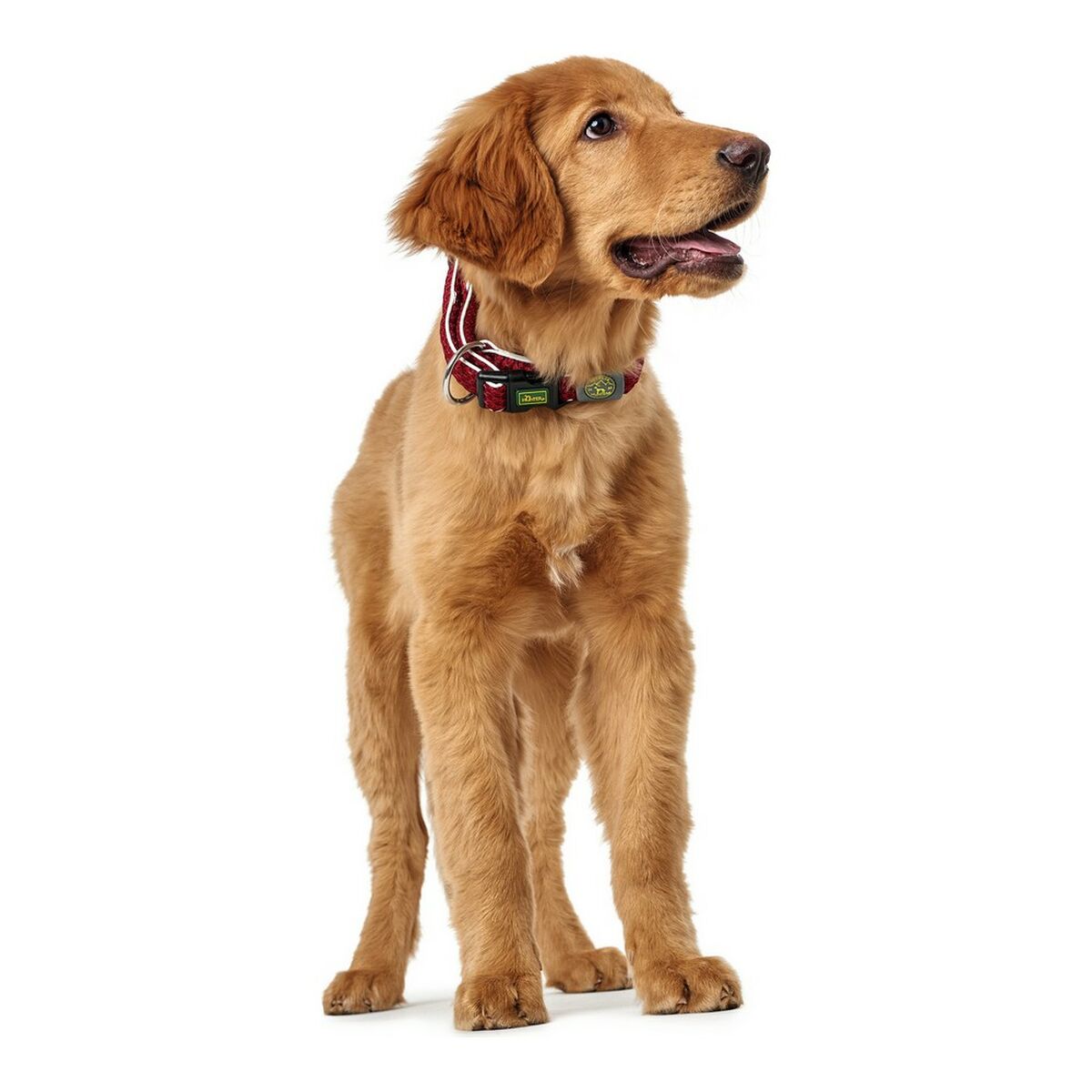 Hundhalsband Hunter Plus Tråd Röd Storlek L (40-60 cm) - 7