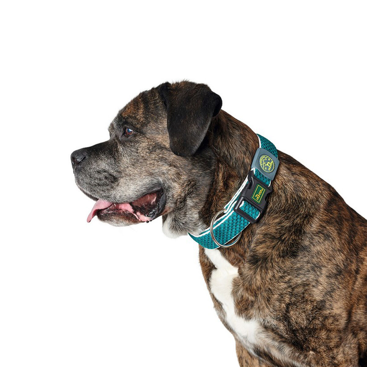 Hundhalsband Hunter Plus Tråd turquoise Turkos Storlek XL (45-70 cm) - 3