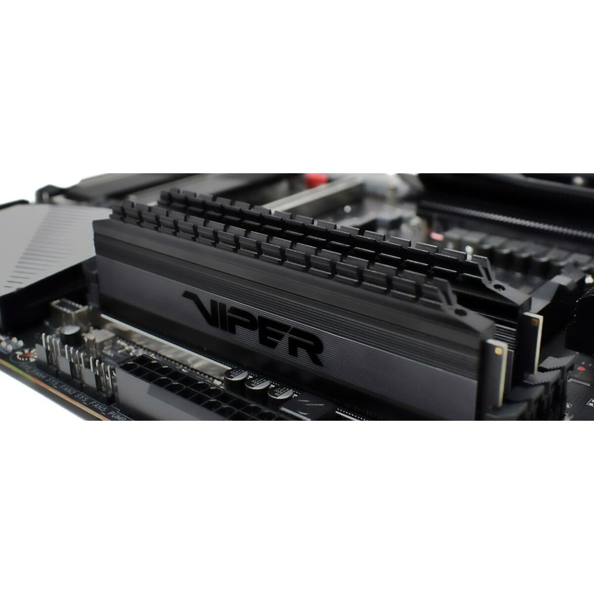 RAM-minne Patriot Memory PVB416G360C8K 16 GB - 6