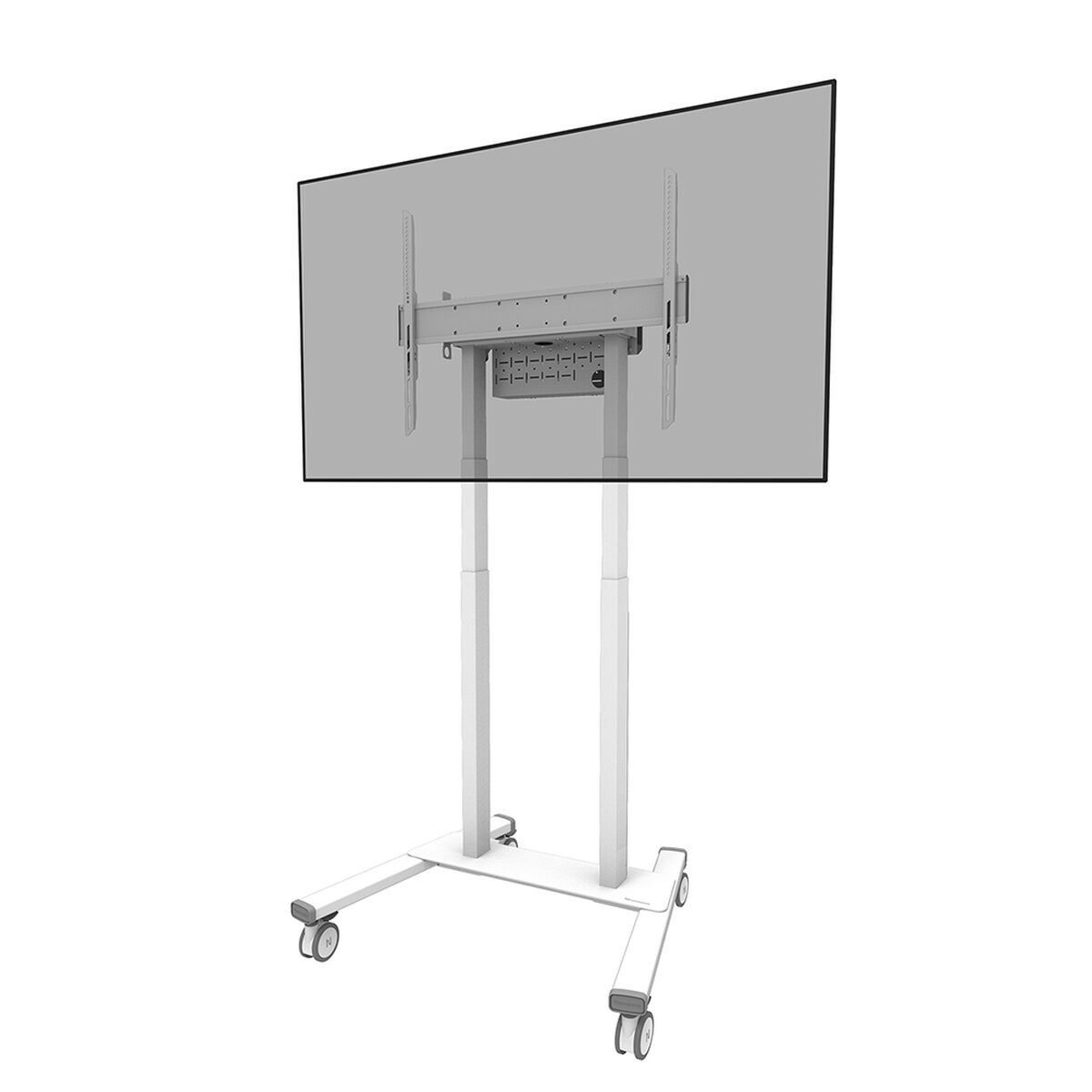 TV-fäste Neomounts FL55-875WH1 - 2