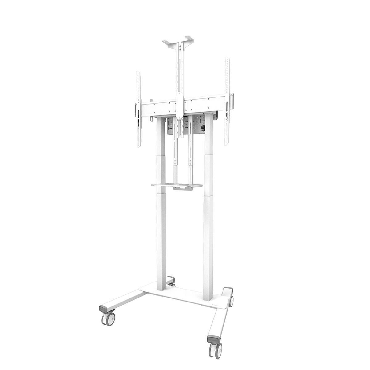 TV-fäste Neomounts FL55-875WH1
