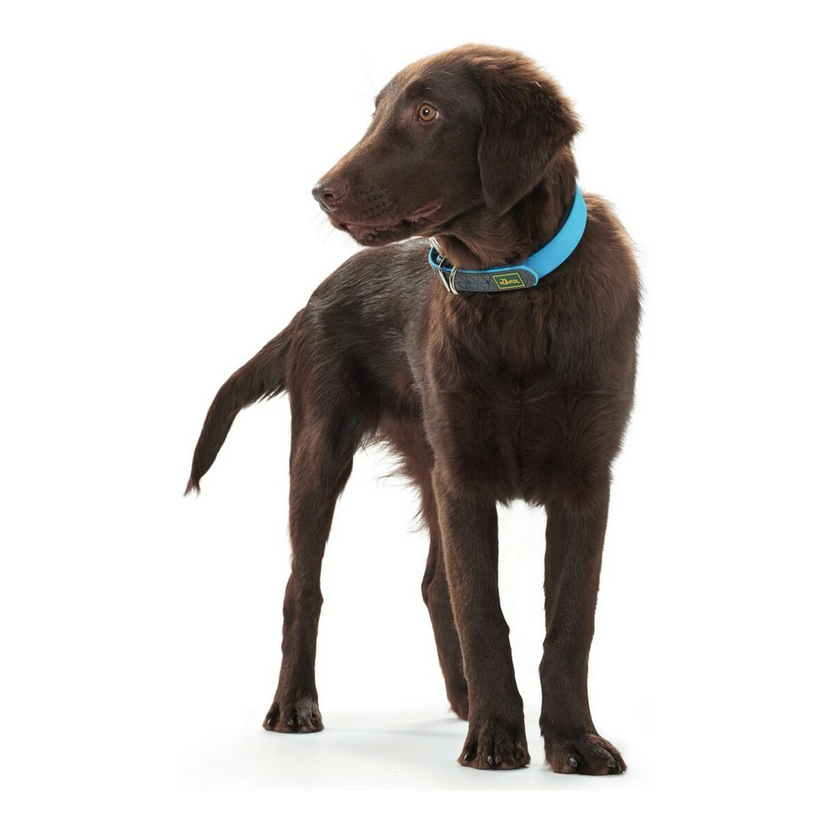 Hundhalsband Hunter Convenience Turkos - 2
