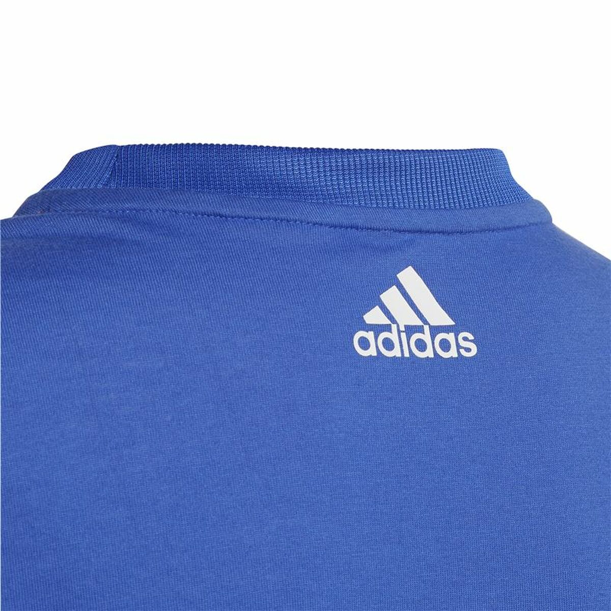 Barn T-shirt med kortärm Adidas Predator Blå - 3