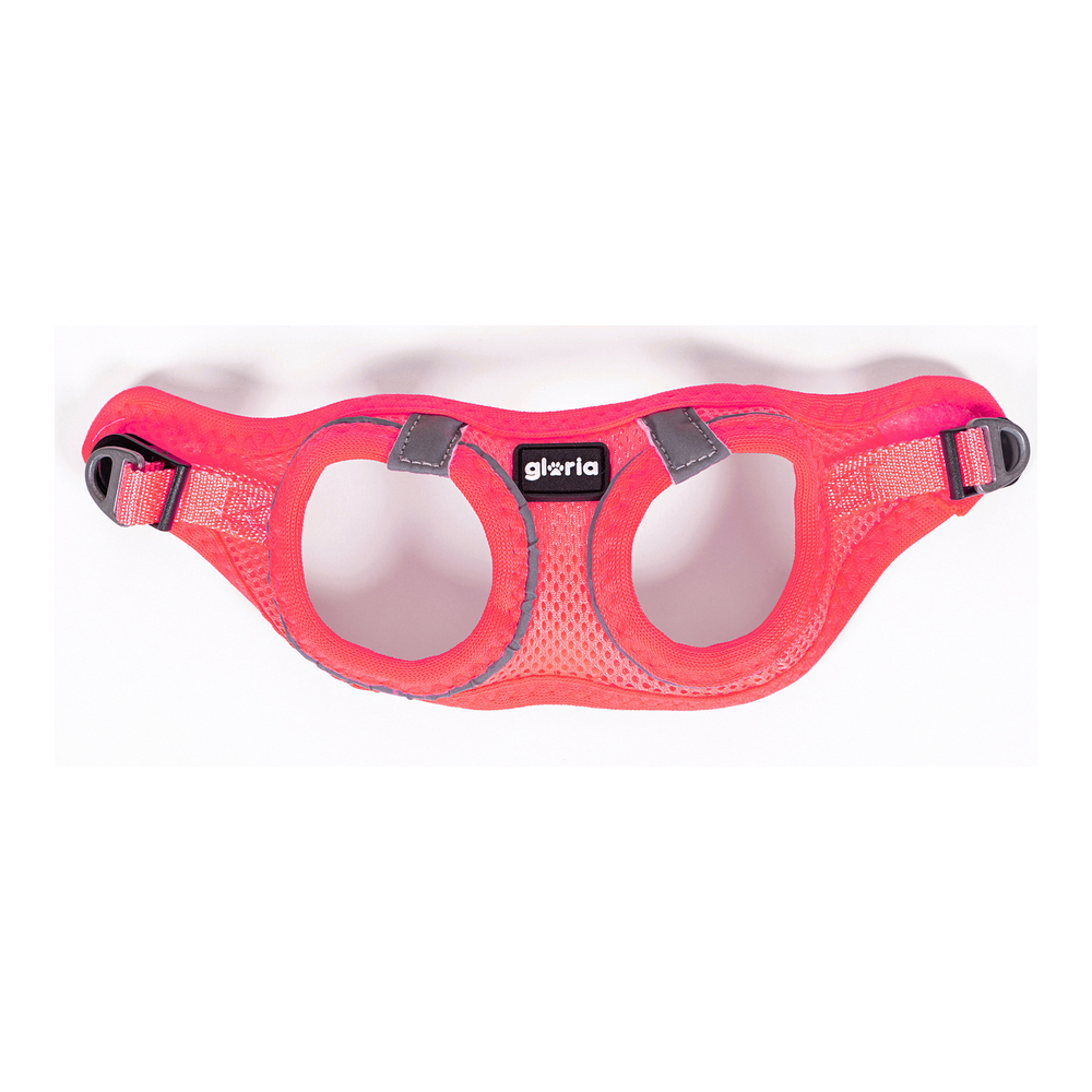Hundsele Gloria Air Mesh Star Rosa Storlek XXS (24-26 cm) - 4