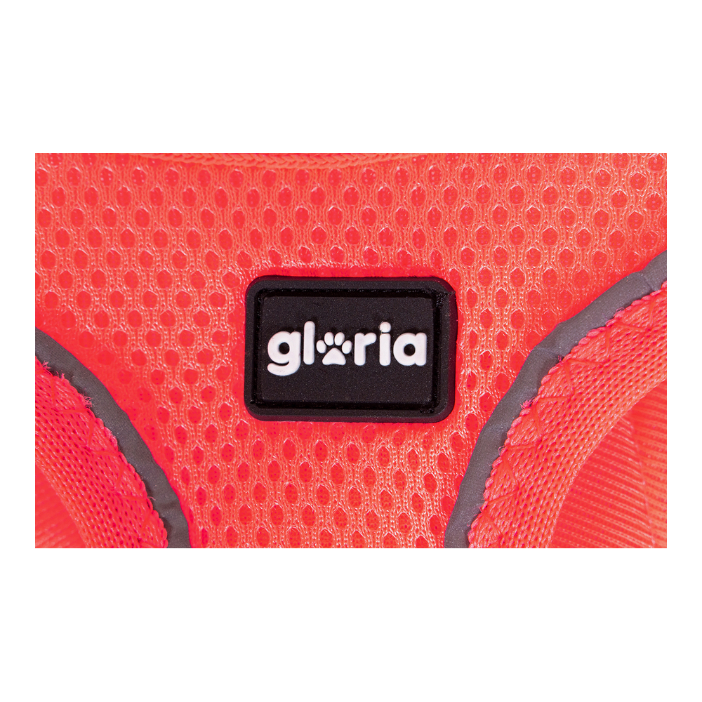 Hundsele Gloria Air Mesh Star Rosa Storlek XXS (24-26 cm) - 2