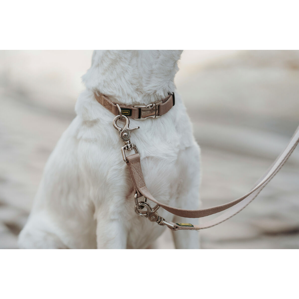 Hundhalsband Hunter Inari Beige XL 45-65 cm - 4