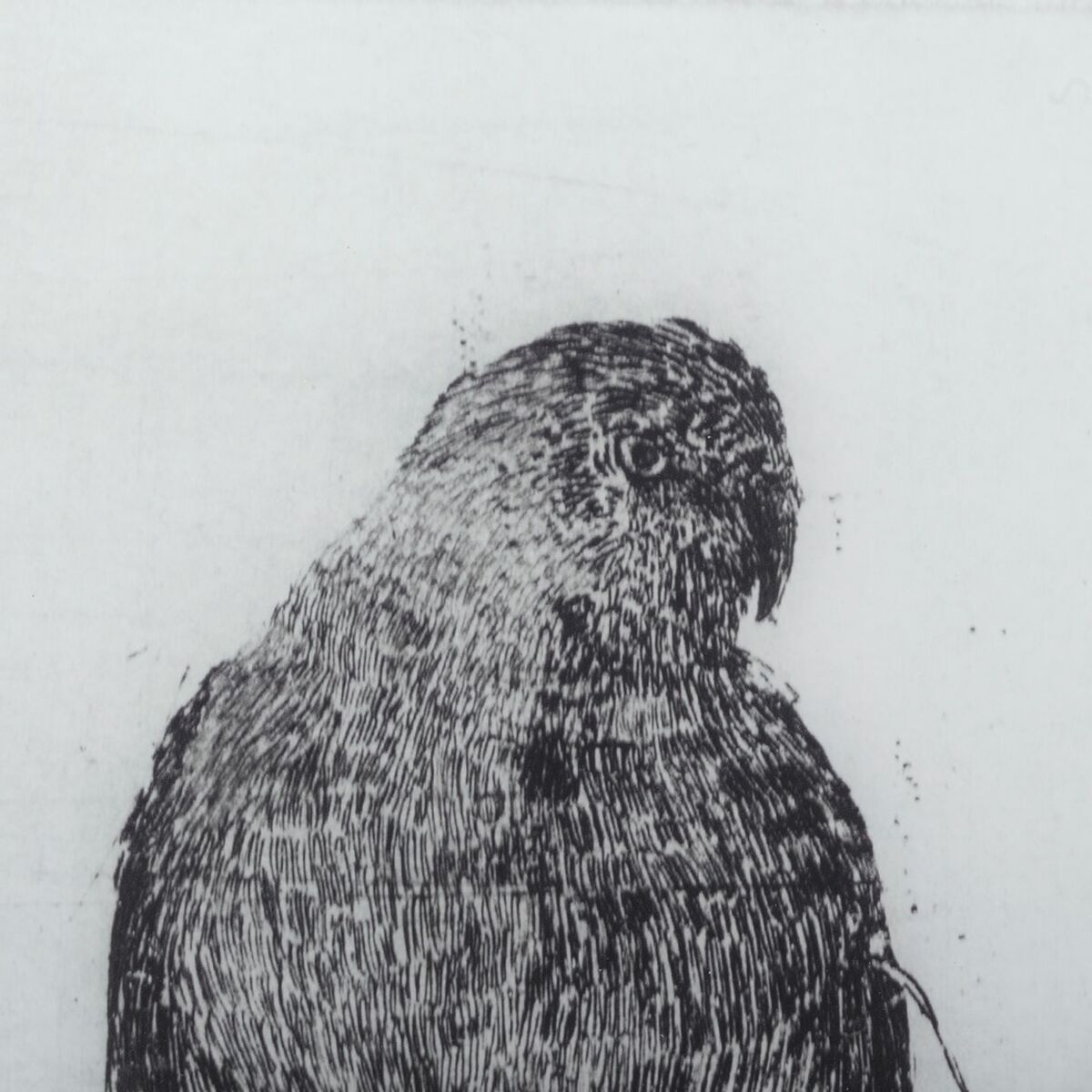 Kanvas Fågel 60 x 2,5 x 90 cm - 2