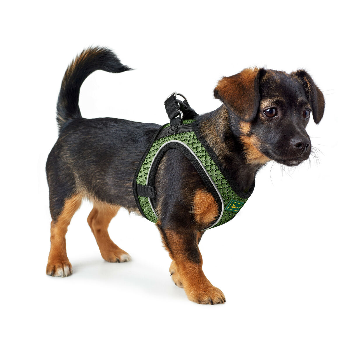 Hundsele Hunter Comfort Grön S 42-48 cm - 3