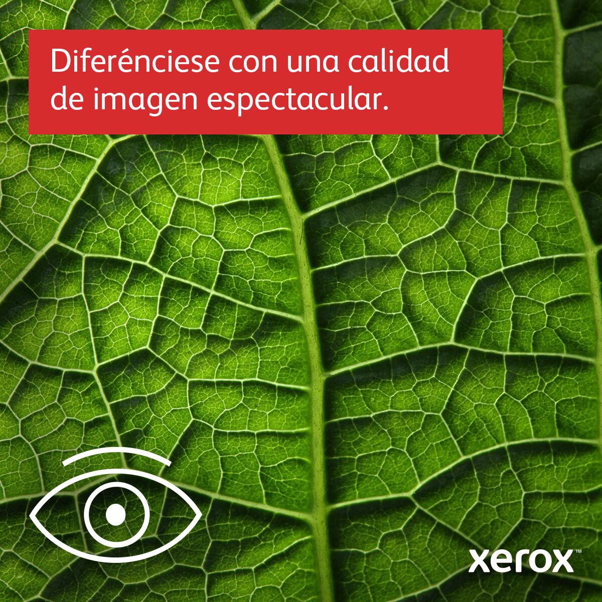 Laserskrivare Xerox C410V_DN - 5