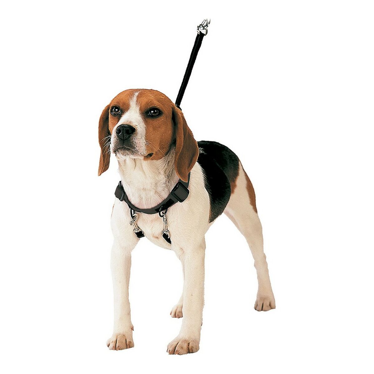 Hundsele Gloria 40-60 cm Storlek L - 2