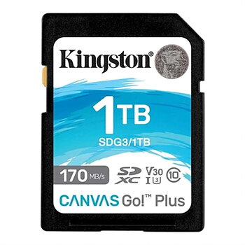 SDXC Minneskort Kingston SDG3/1TB 1 TB