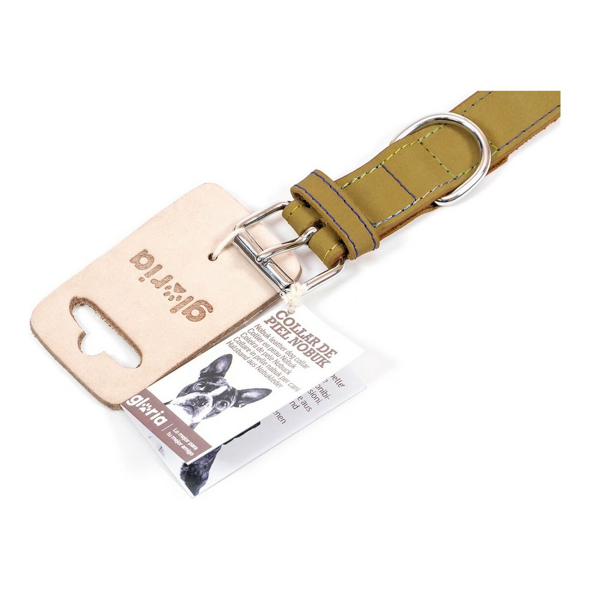 Hundhalsband Gloria Oasis Grön (40 x 1,5 cm) - 15