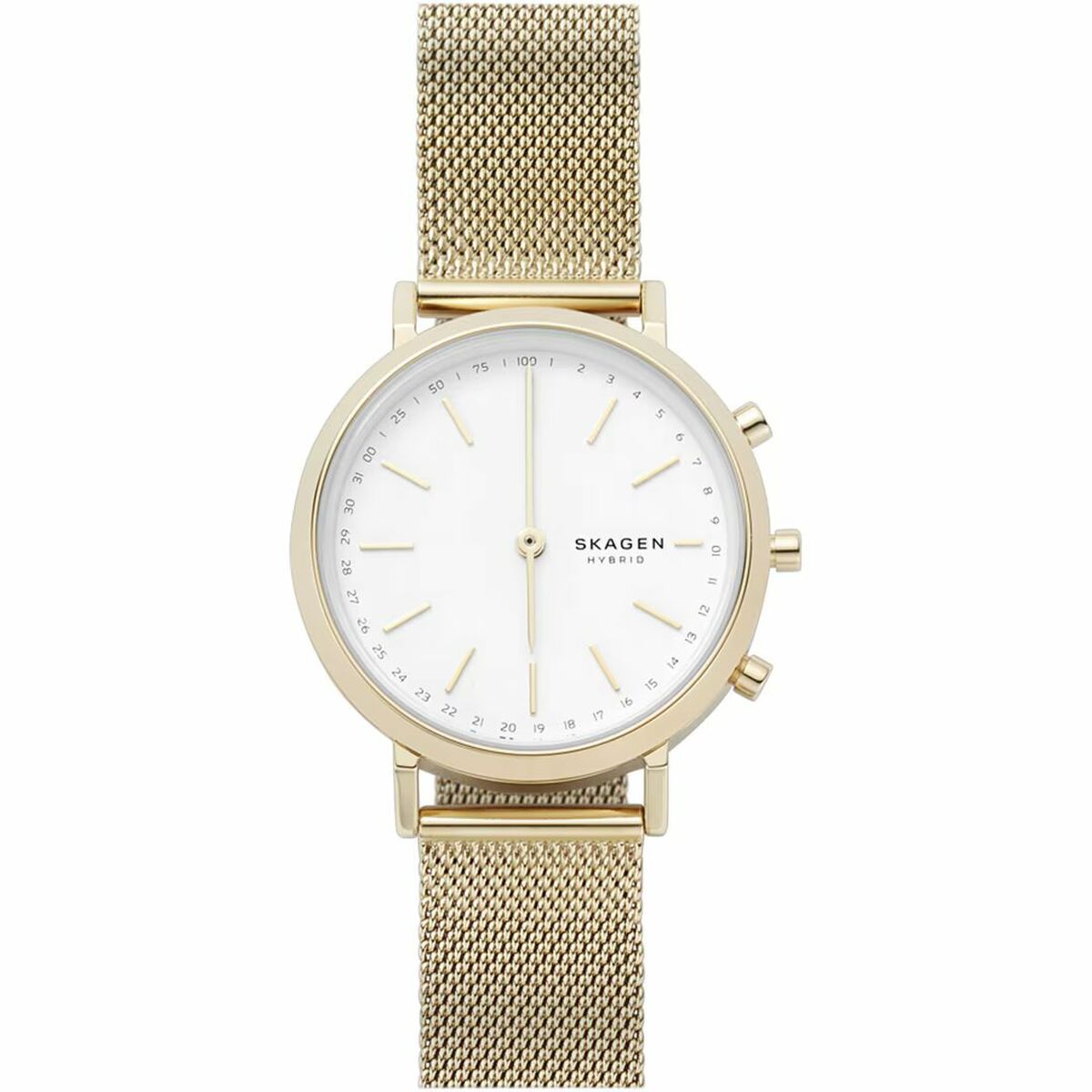 Smartklocka Skagen SKT1405