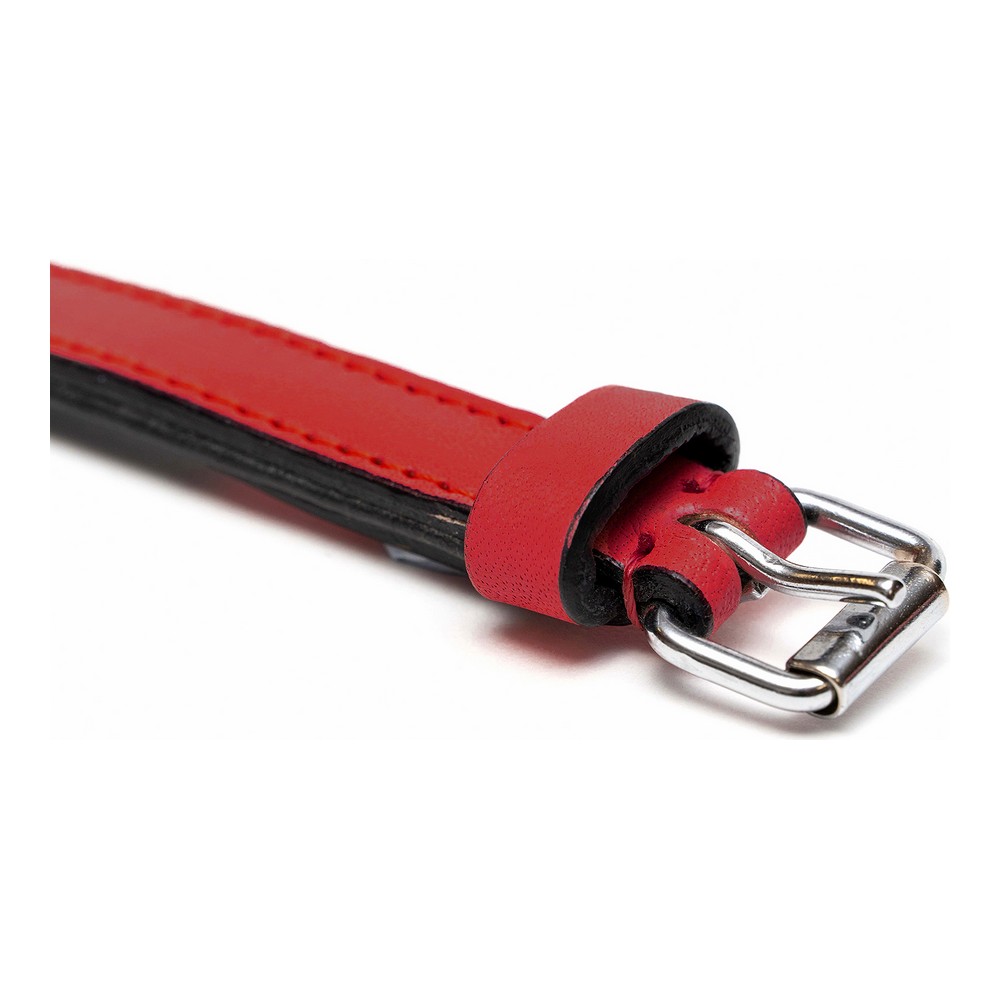 Hundhalsband Gloria Vadderad Röd (35 x 1,5 cm) - 5