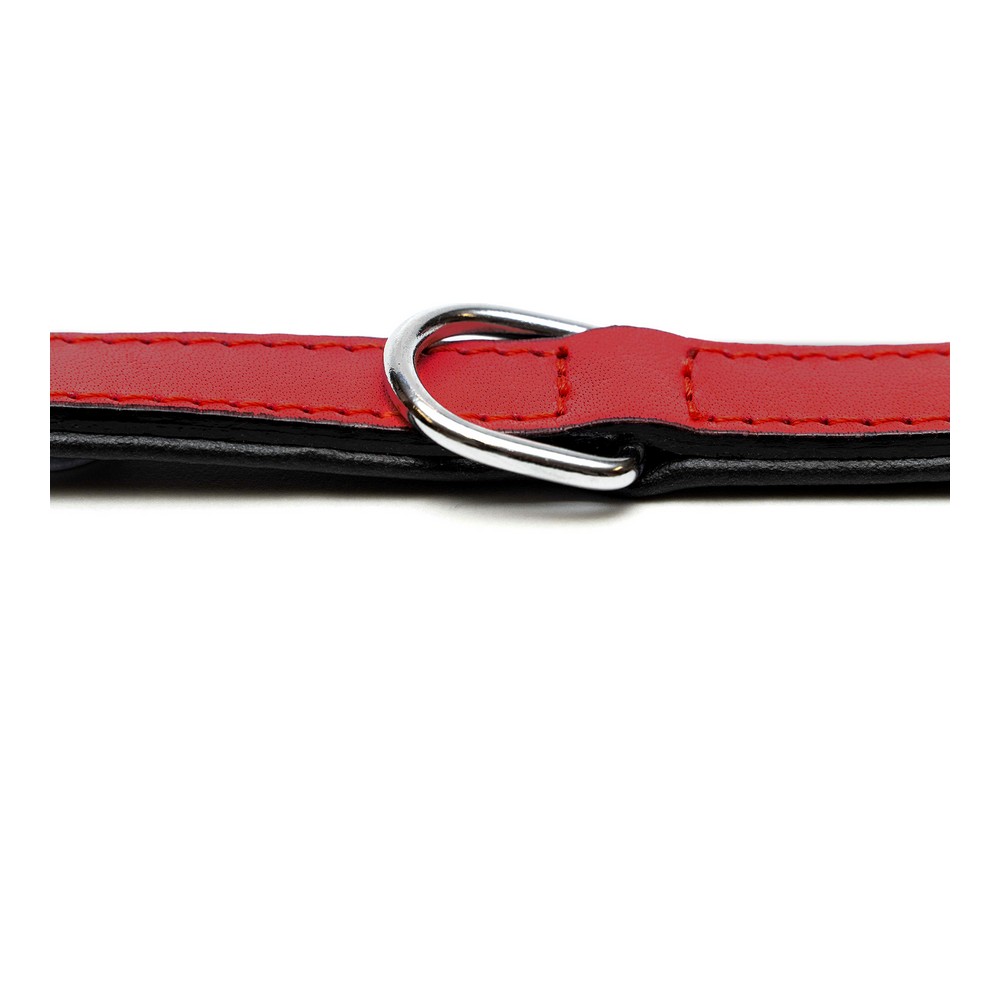 Hundhalsband Gloria Vadderad Röd (35 x 1,5 cm) - 4