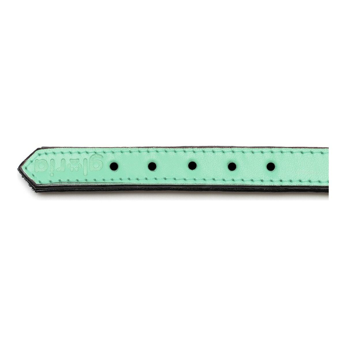 Hundhalsband Gloria Vadderad Grön (35 x 1,5 cm) - 9