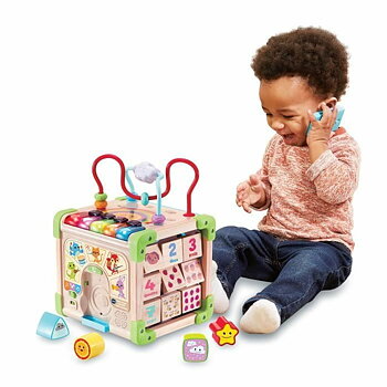 Aktivitetscentrum Vtech Baby 80-617105 Brun Multicolour