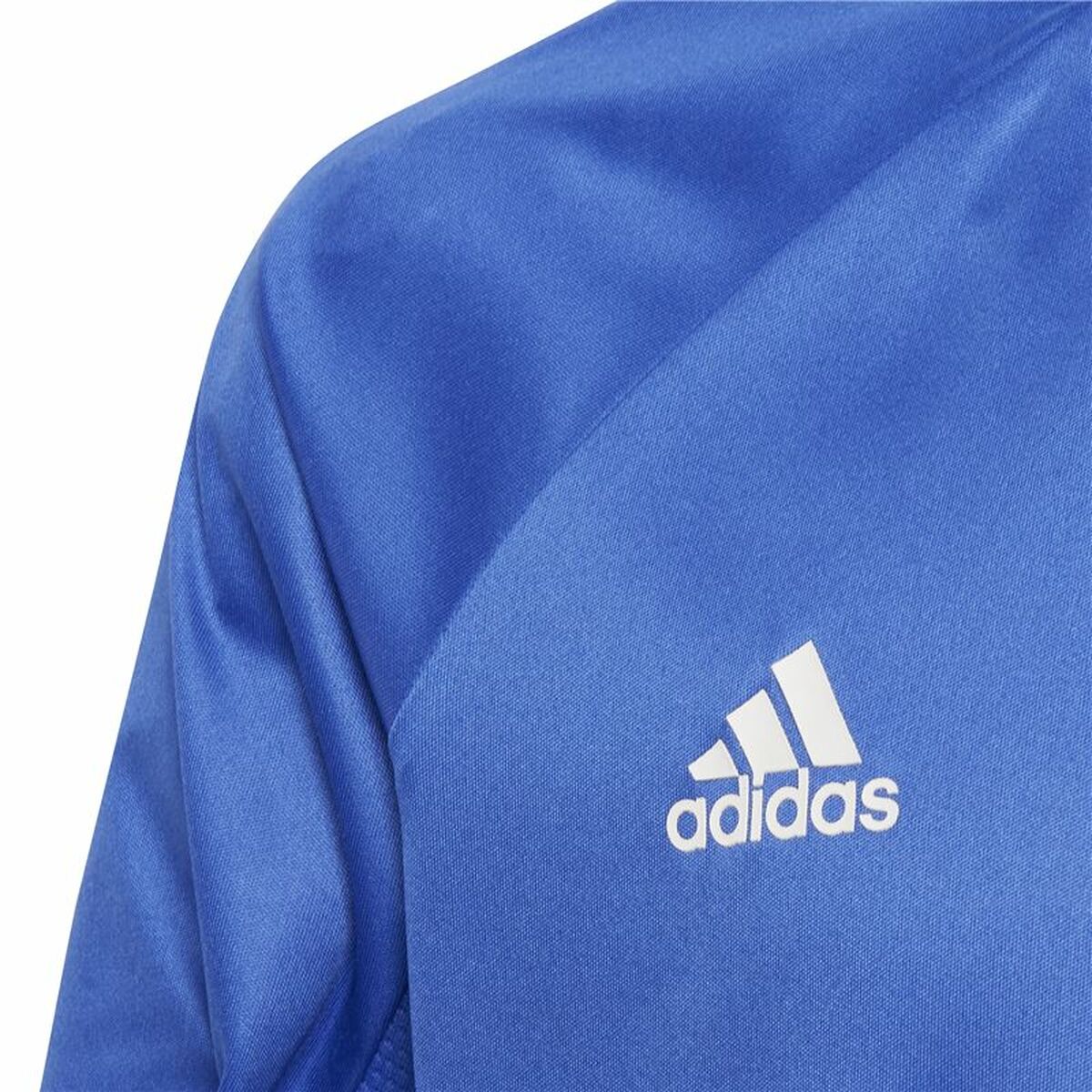 Barn T-shirt med kortärm Adidas Predator Blå - 4