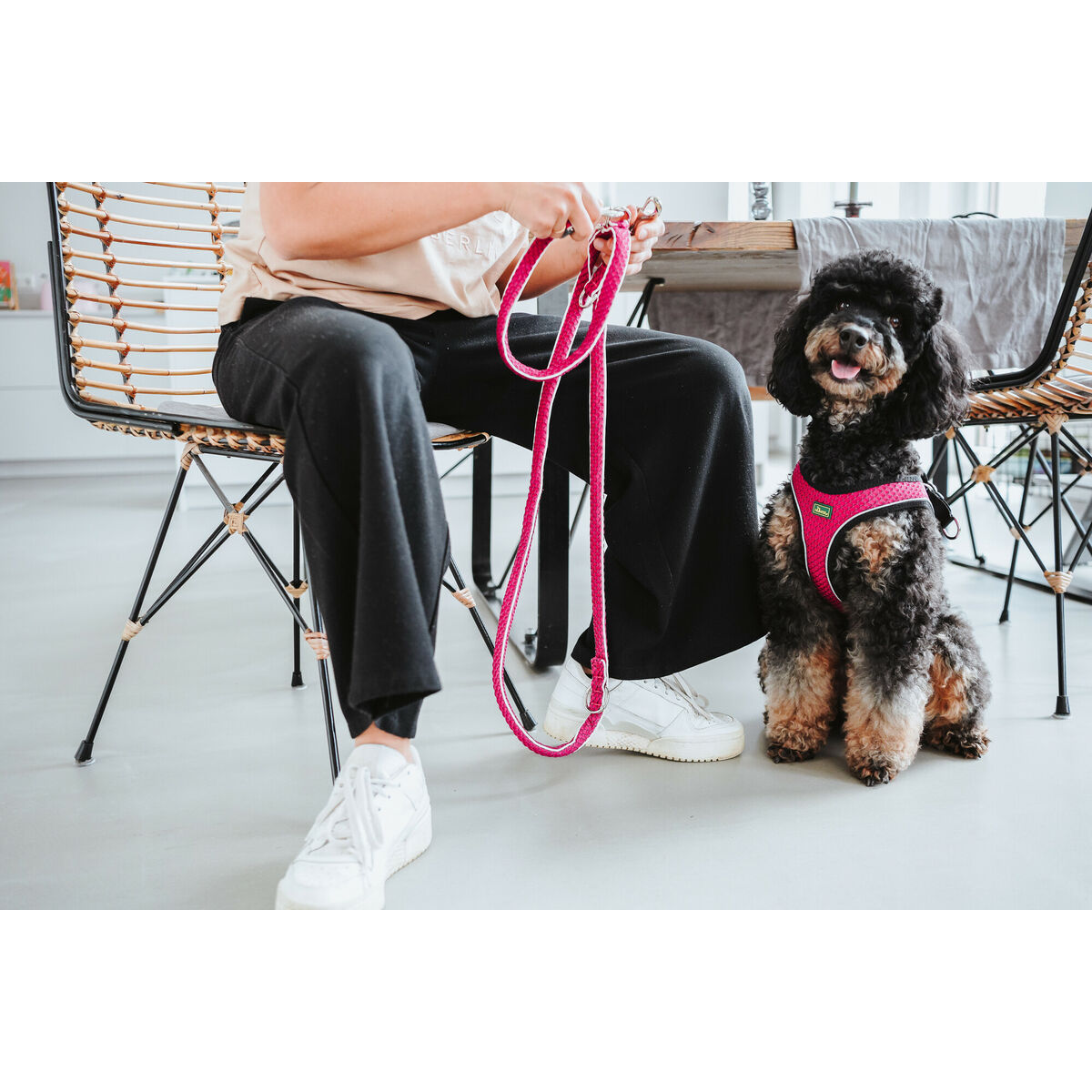 Hundsele Hunter Comfort Fuchsia 30-35 cm - 3
