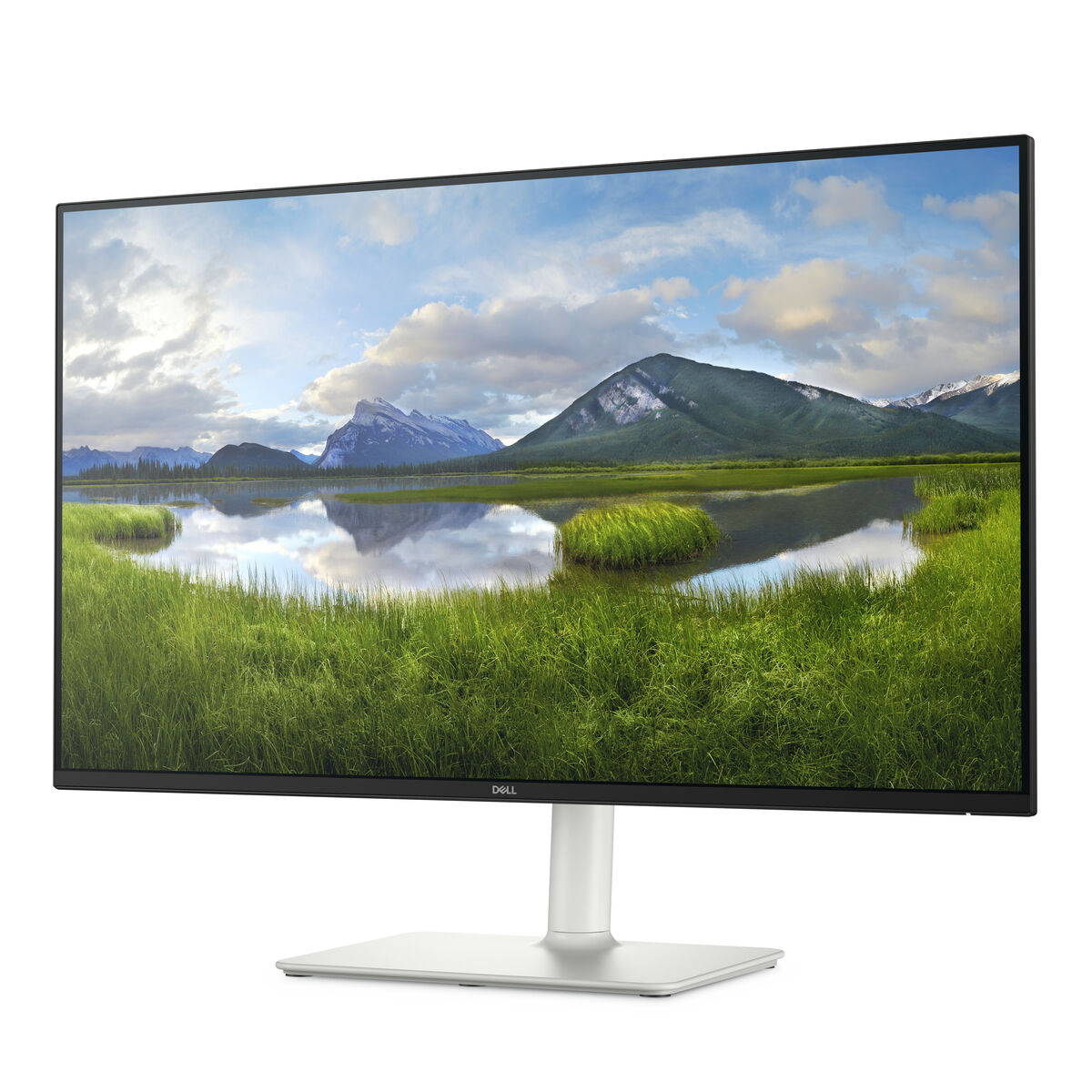 Monitor Gaming Dell S2725HS Full HD 27" 100 Hz - 3