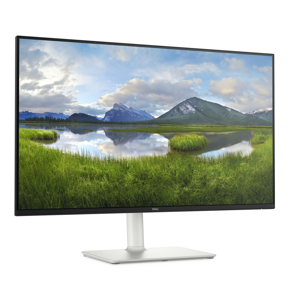 Monitor Gaming Dell S2725HS Full HD 27" 100 Hz - 4