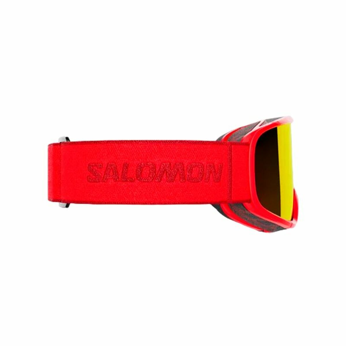 Skidglasögon Salomon Aksium Multicolour - 2