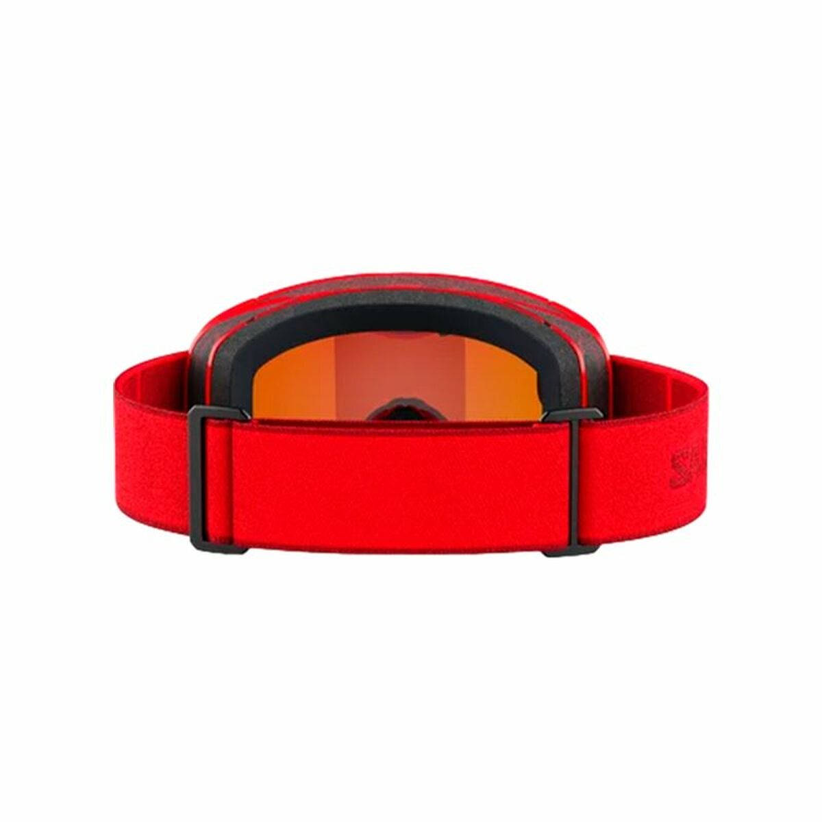Skidglasögon Salomon Aksium Multicolour - 3
