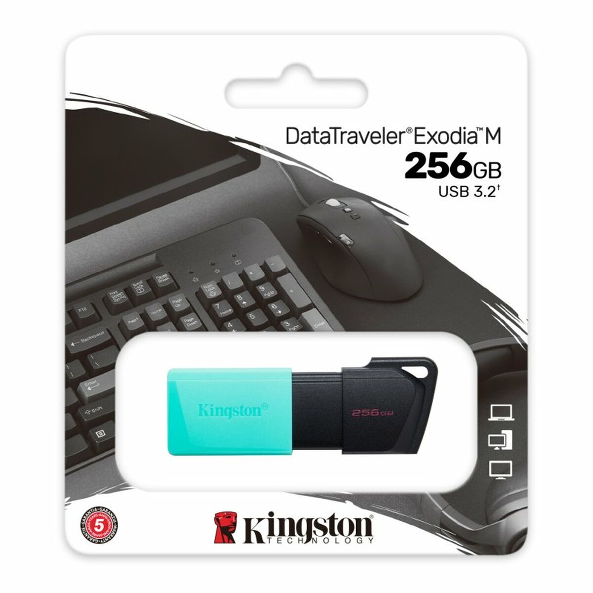 USB-minne Kingston DataTraveler DTXM 256 GB 256 GB - 2