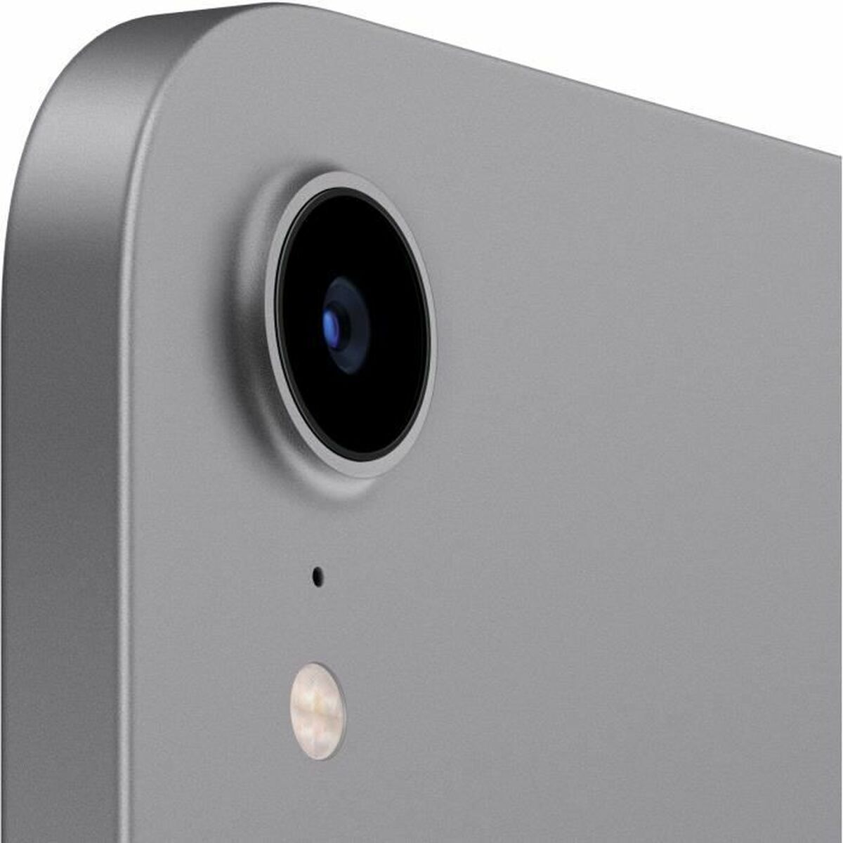 Läsplatta Apple iPad mini (2021) Grå 8,3" - 2