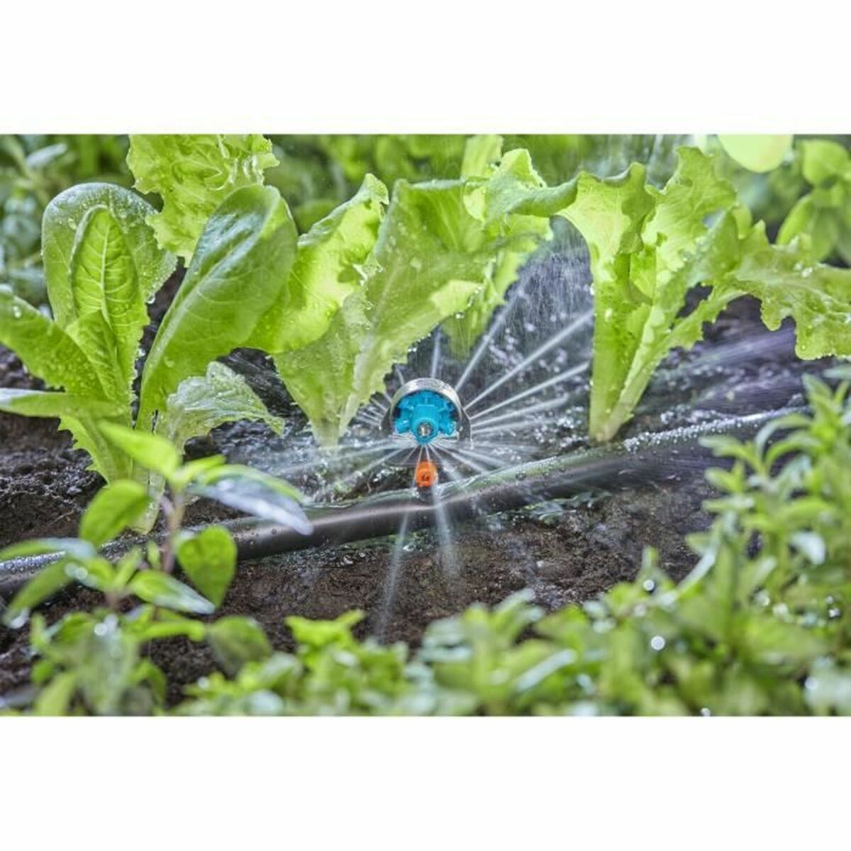 Mikrosprinkler Gardena Micro-Drip 13324-20 Plast 13 mm - 3