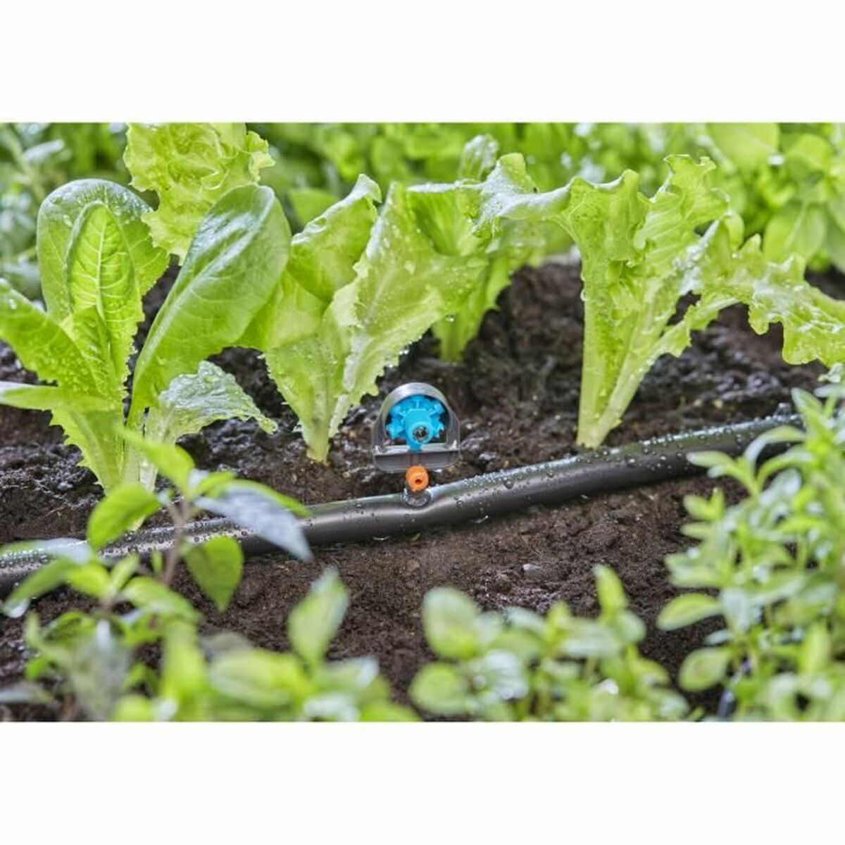Mikrosprinkler Gardena Micro-Drip 13324-20 Plast 13 mm - 2