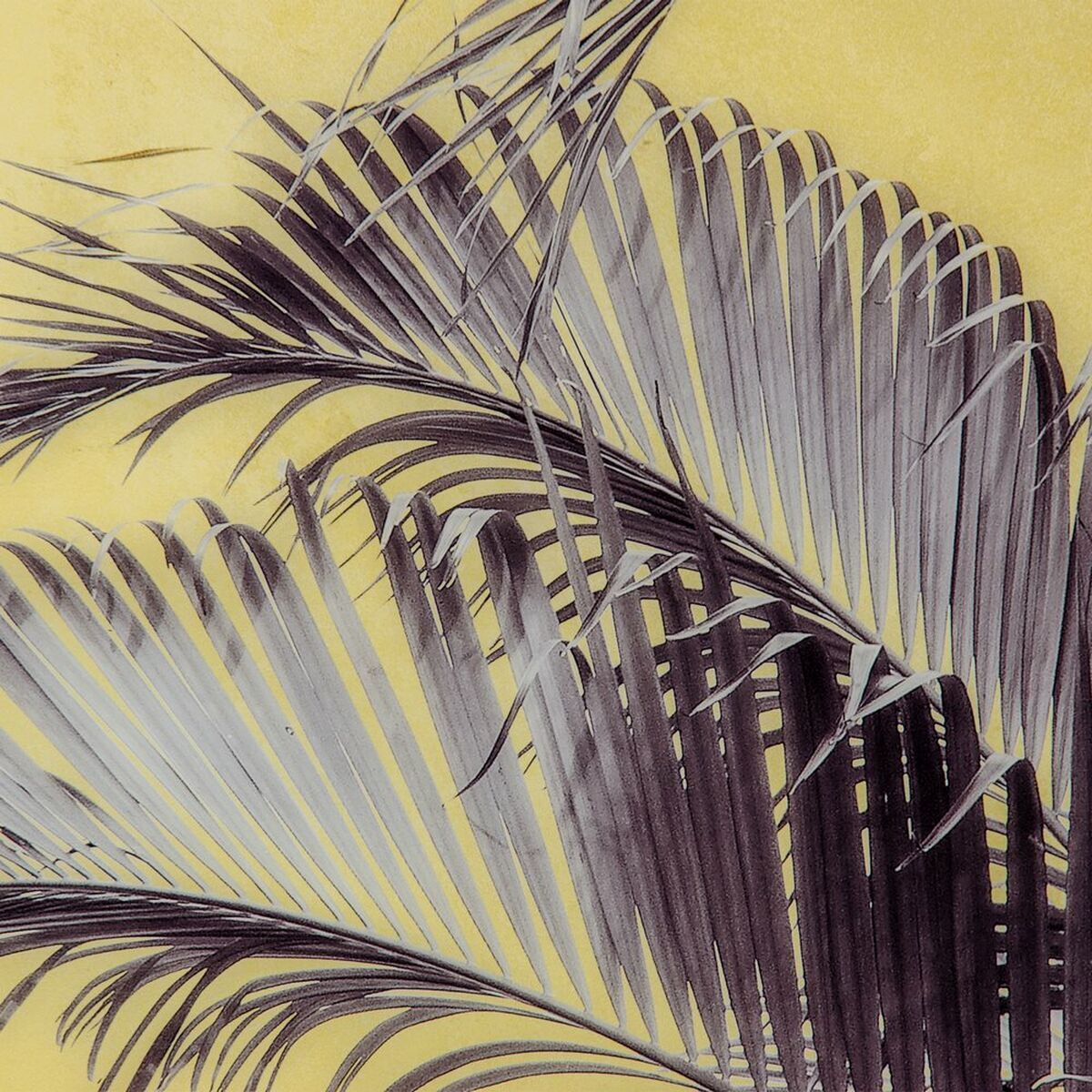 Kanvas Palmträd 100 x 2,5 x 100 cm Blad - 5