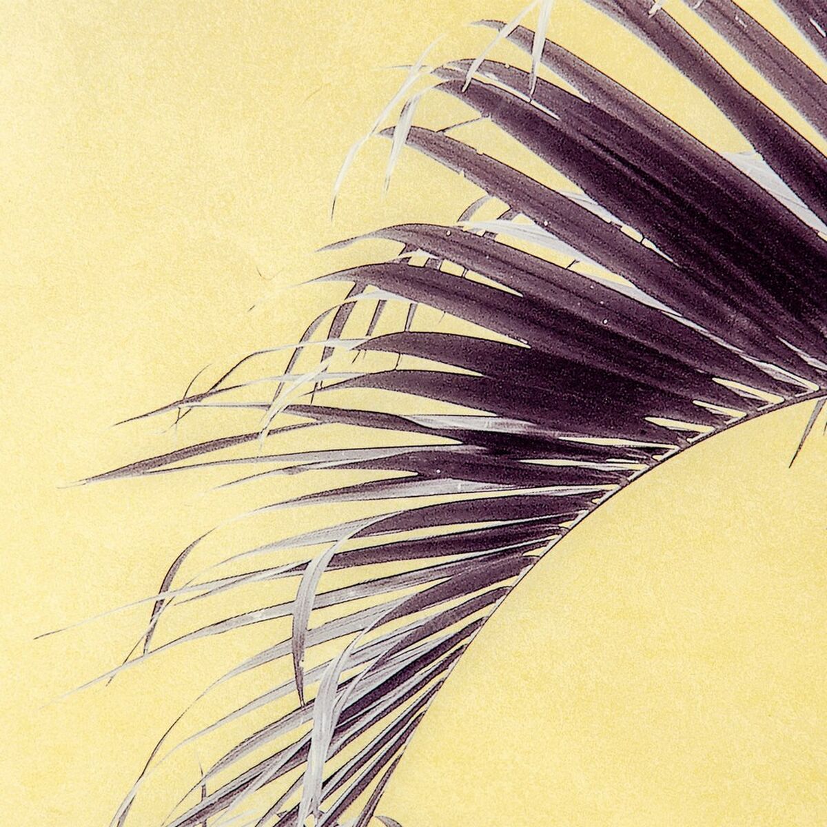 Kanvas Palmträd 100 x 2,5 x 100 cm Blad - 6