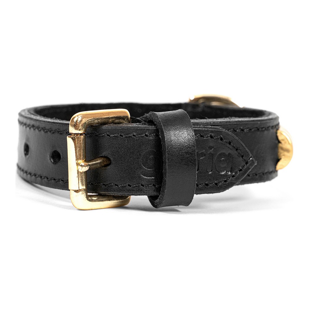 Hundhalsband Gloria Duna Svart Gyllene (40 x 2 cm) - 4