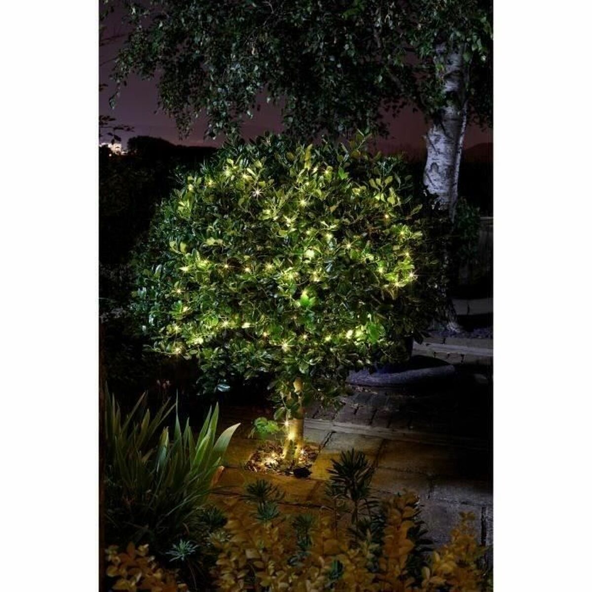 LED-krans Super Smart Luciole Sol Varmvit - 3