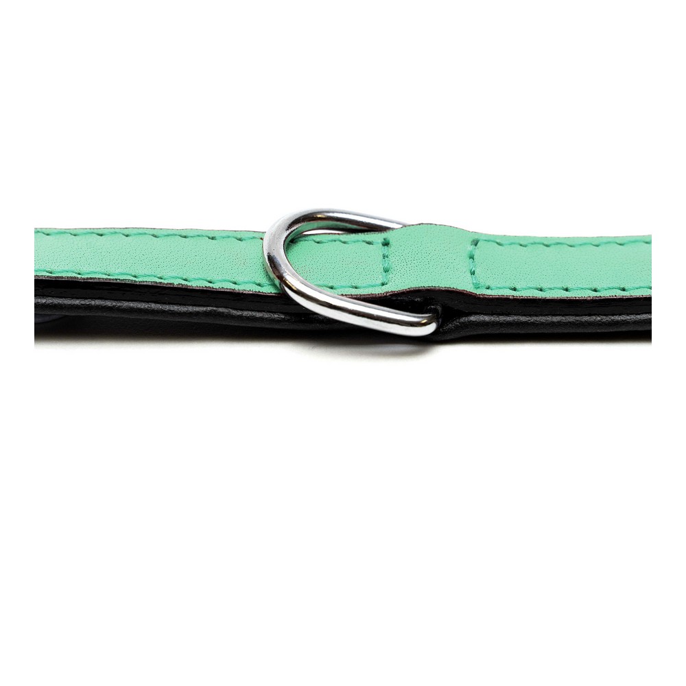 Hundhalsband Gloria Vadderad Grön (30 x 1,5 cm) - 3